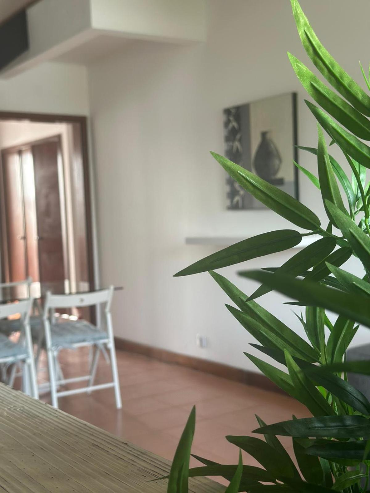 Azores Pedra Apartments - T0 E T1 Ponta Delgada Kültér fotó